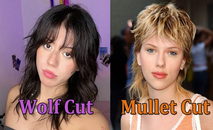 wolfcut