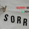 Sorry Shayari in Hindi