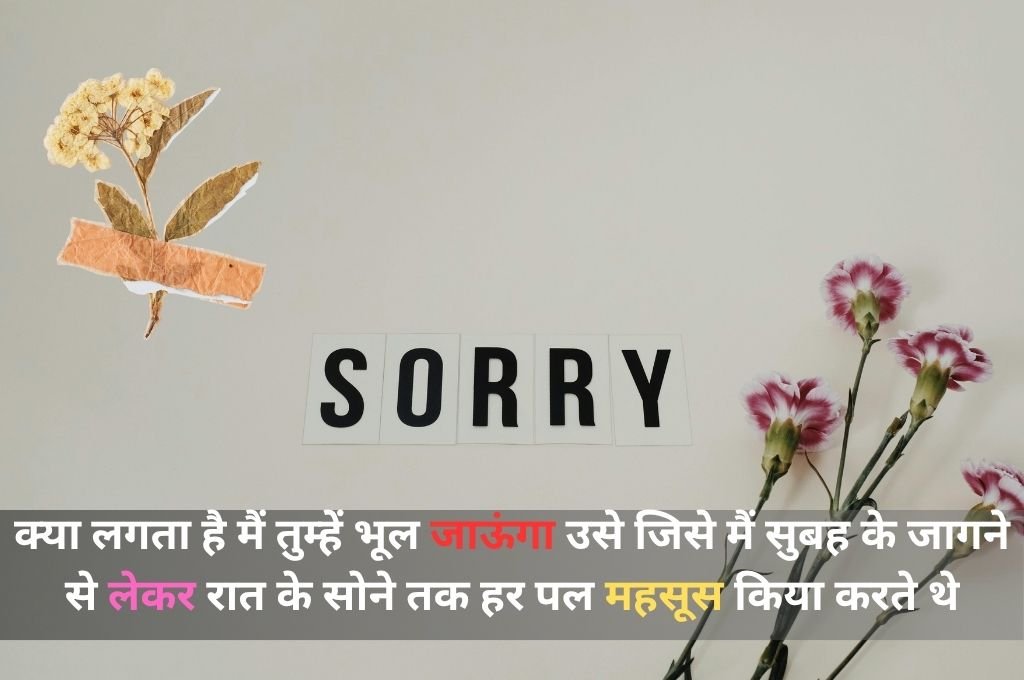 Feeling Sorry Shayari In Hindi