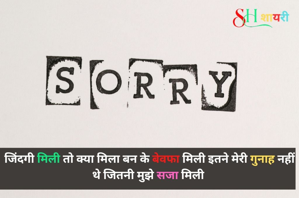 Dil Se Sorry Shayari