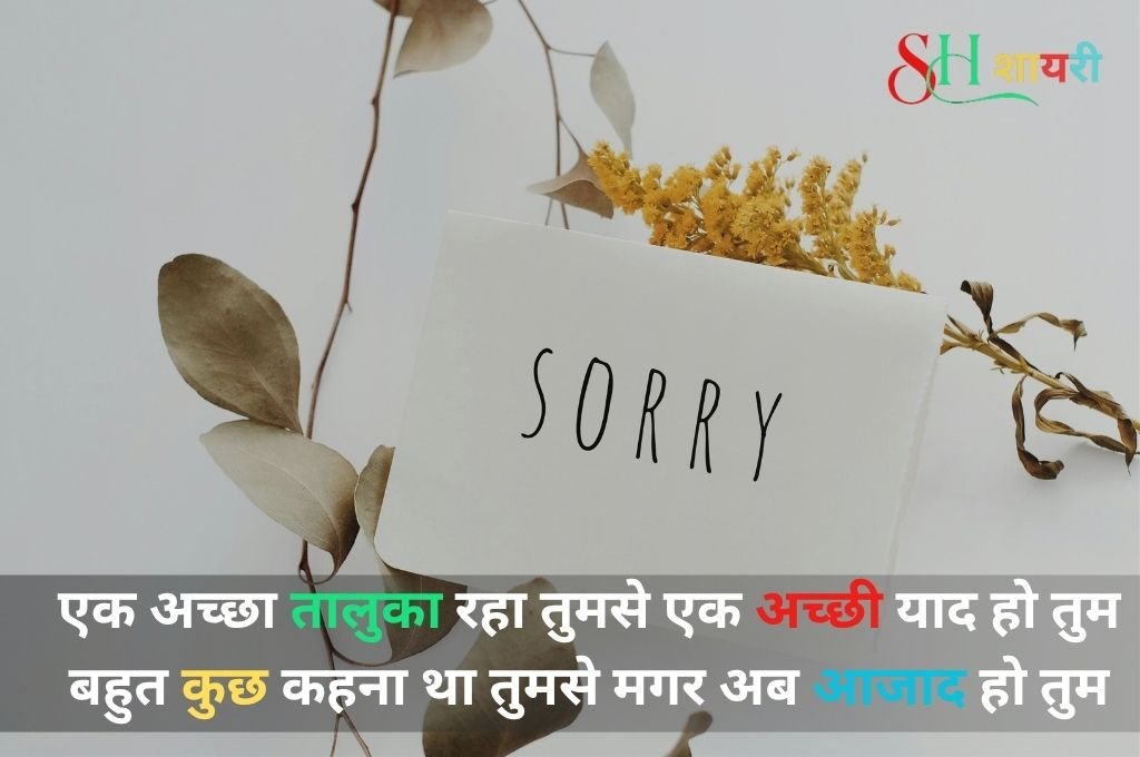 Sorry Shayari For Husband /Wife