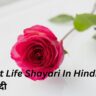 99+Best Life Shayari In Hindi| लाइफ शायरी हिंदी